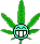 Mr. Green's Weed